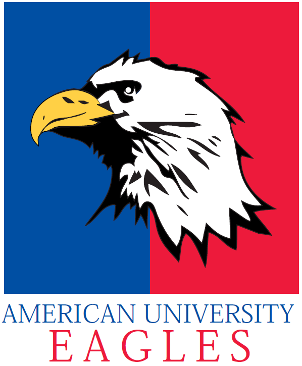 American Eagles 1985-2005 Primary Logo diy DTF decal sticker